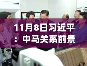 11月8日习近平:中马关系前景光明 未来可期,11月8日习近平主席谈中马关系,未来光明,前景可期
