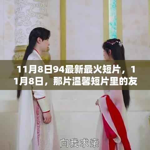 11月8日温馨短片,友情火花与家的温暖