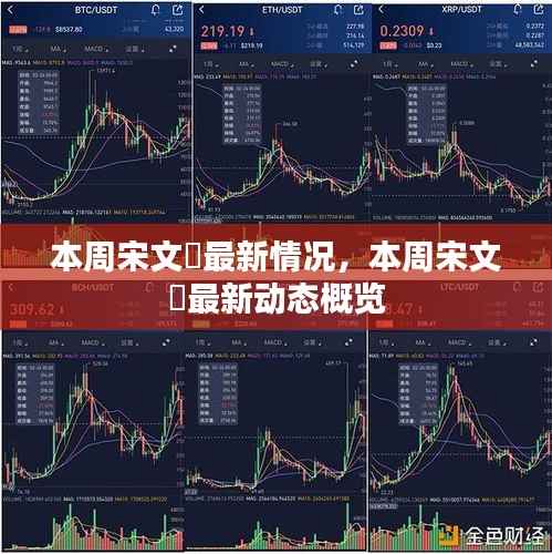 宋文瑄本周最新动态概览