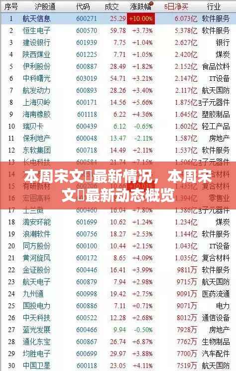 宋文瑄本周最新动态概览