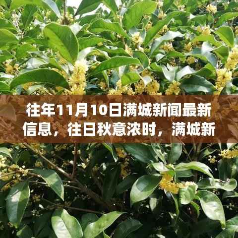满城新闻背后的温馨故事,秋意浓时历年11月10日最新资讯速递