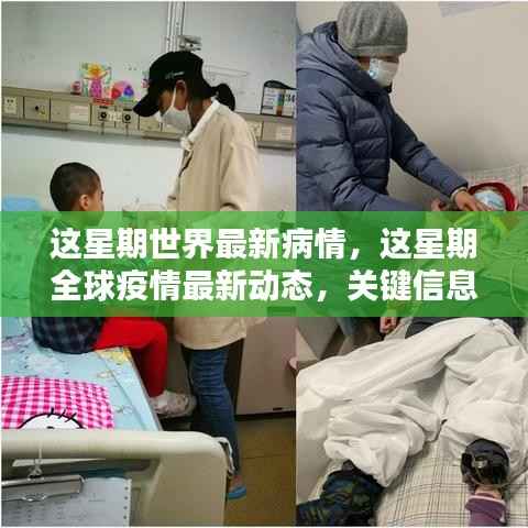 全球疫情最新动态,本周关键信息与案例分析汇总报告