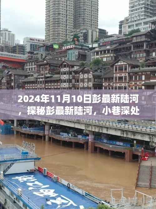 探秘彭最新陆河,小巷深处的味觉奇遇之旅(2024年11月10日)