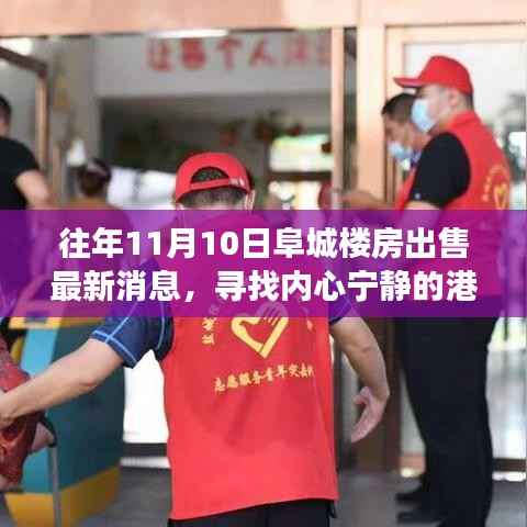 阜城楼房最新出售消息,寻找心灵宁静的自然探索之旅