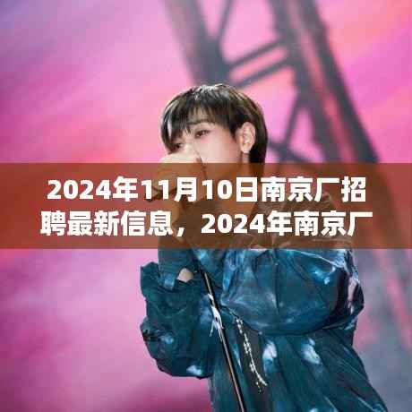 南京厂最新招聘信息解析(2024年11月)