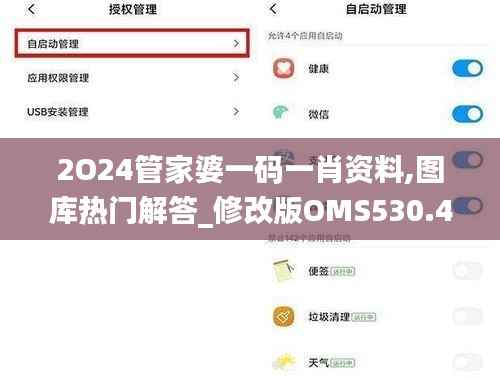 2O24管家婆一码一肖资料,图库热门解答_修改版OMS530.41