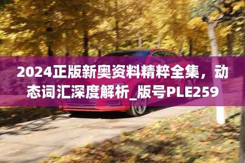 2024正版新奥资料精粹全集,动态词汇深度解析_版号PLE259.74