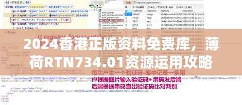 2024香港正版资料免费库,薄荷RTN734.01资源运用攻略