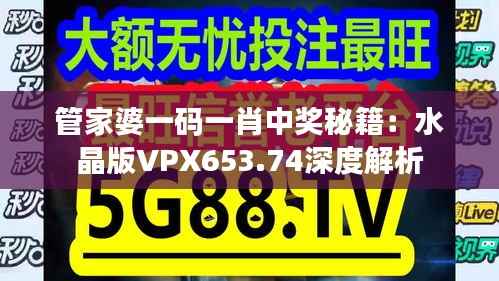 管家婆一码一肖中奖秘籍:水晶版VPX653.74深度解析