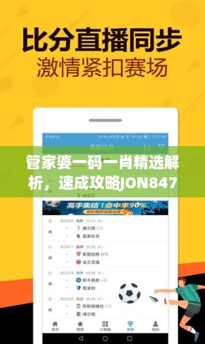管家婆一码一肖精选解析，速成攻略JON847.89