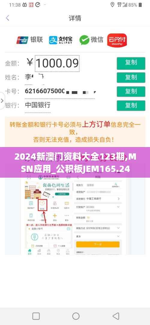 2024新澳门资料大全123期,MSN应用_公积板JEM165.24
