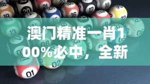 澳门精准一肖100%必中,全新策略解析版WTH306.72