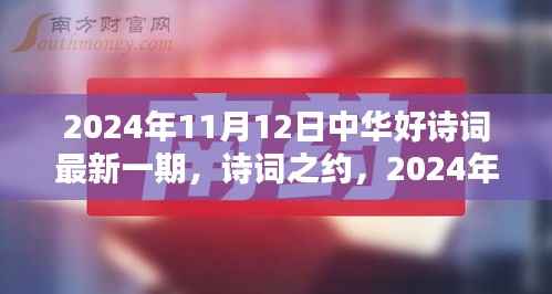 中华好诗词最新一期,诗意时光下的诗词之约(2024年11月12日)