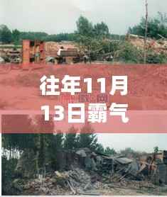 揭秘霸气村崛起背后的故事与影响，往年11月13日的崛起之路探索