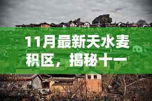 揭秘天水麦积区隐藏宝藏,十一月特色小店探秘