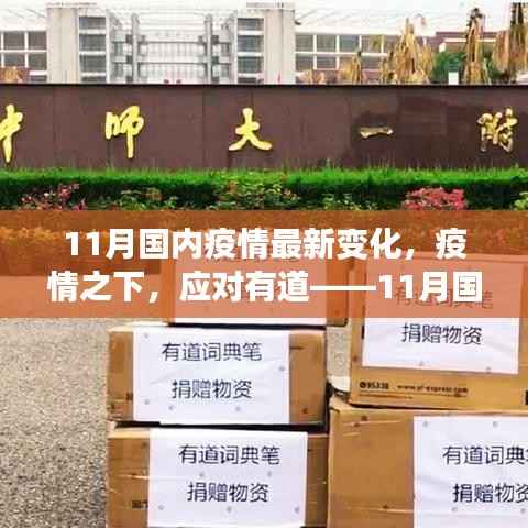 11月国内最新疫情变化应对策略步骤指南,疫情之下,应对有道