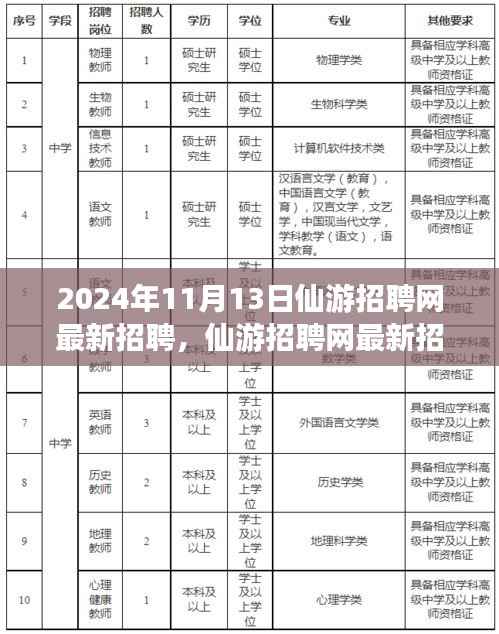 2024年11月13日仙游招聘网最新动态,聚焦人才市场热点