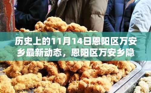 恩阳区万安乡隐秘小巷的百年风味揭秘，最新动态报道在11月14日