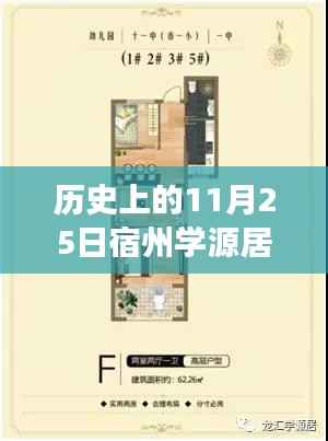 宿州学源居11月25日,自然之旅与心灵觉醒的热门动态