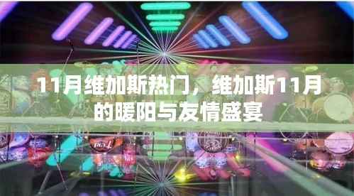 维加斯11月暖阳下的友情盛宴与热门活动