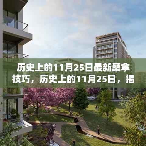 历史上的11月25日桑拿技巧揭秘,极致舒适体验指南