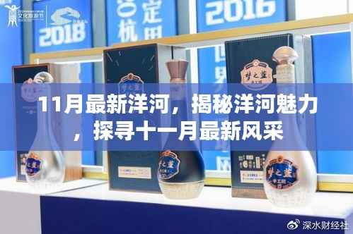 揭秘洋河魅力,十一月最新风采展示