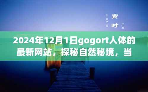 探秘gogort人体奥秘,心灵遇见奇妙旅程的秘境网站(最新更新)