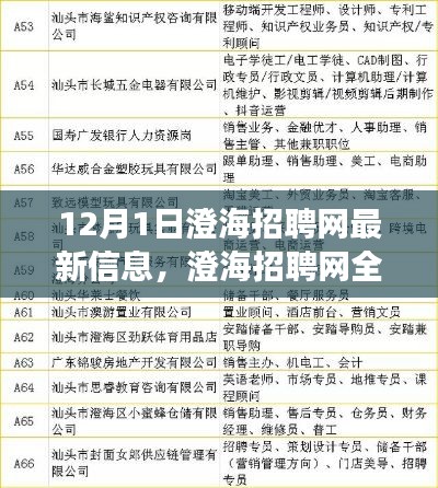 澄海招聘网全新升级,科技引领招聘变革,体验未来招聘之旅(最新信息)