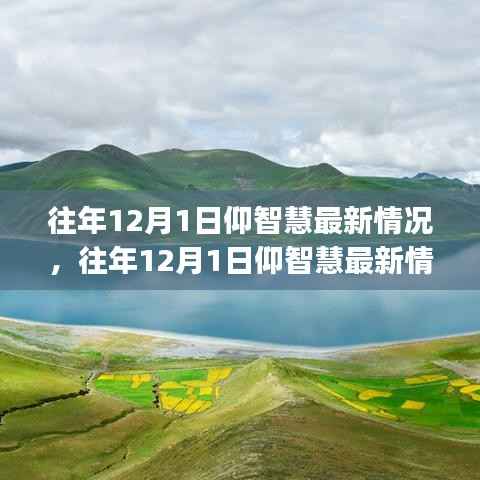 往年12月1日仰智慧最新情况详解,初学者与进阶用户的探索步骤指南