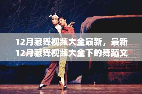 最新藏舞视频展现,十二月舞蹈文化传承与变迁的探讨