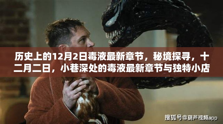 秘境探寻,毒液最新章节与独特小店的奇妙邂逅在十二月二日