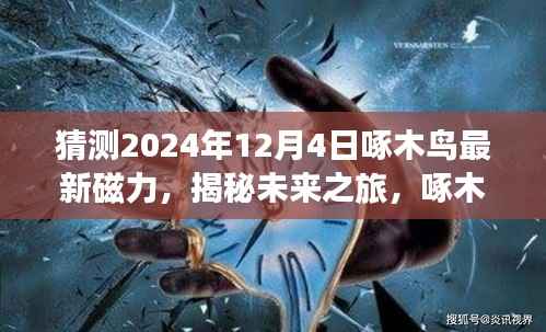 揭秘未来之旅,啄木鸟指引下的奇妙探险探索自然美景的终极旅程(预测至2024年12月4日最新磁力)