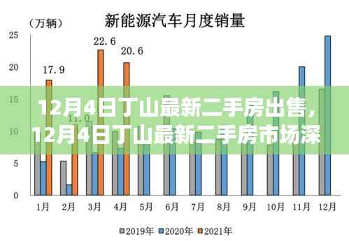 丁山最新二手房市场深度解析,购房者的福音时刻来临