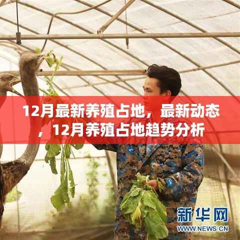 12月最新养殖占地动态及趋势分析