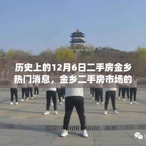 特别的日子,金乡二手房市场温馨故事回顾——12月6日热门消息揭秘
