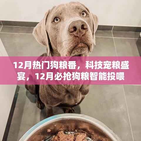 12月热门狗粮番与智能投喂器新品亮相,科技宠粮盛宴开启
