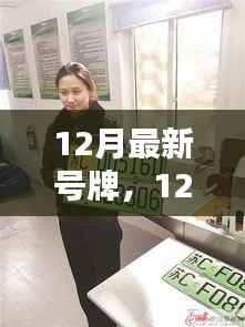 12月最新号牌全面评测与介绍