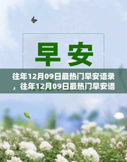 往年12月09日热门早安语录,唤醒美好清晨的力量