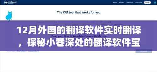 探秘十二月外国实时翻译软件，小巷深处的翻译宝藏体验之旅