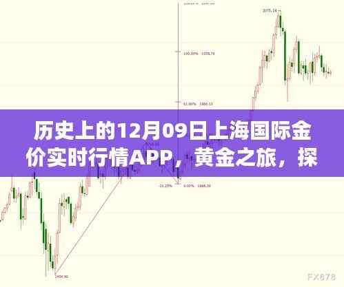 上海国际金价实时行情APP的黄金之旅,历史探索与自然美景的融合体验。