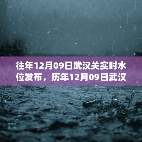 历年12月09日武汉关水位分析与长江水情洞察,洞察长江之滨的水位变化及趋势预测