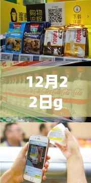 揭秘小巷深处的特色小店，探寻Gal币实时价格的奇幻之旅（12月22日）