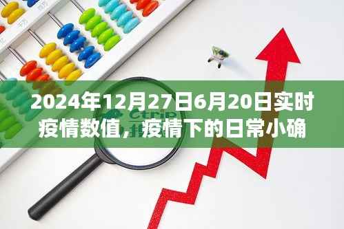 温馨日常中的小确幸，疫情下的陪伴故事与实时疫情数值报告（2024年6月20日至12月27日）