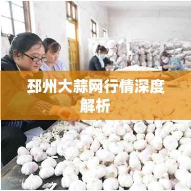 邳州大蒜网行情深度解析