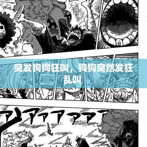 突发狗狗狂叫,狗狗突然发狂乱叫