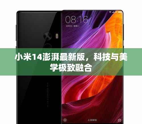 天罗地网 第4页