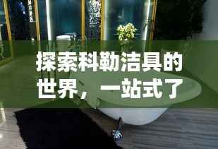 探索科勒洁具的世界,一站式了解科勒官网精品卫浴体验