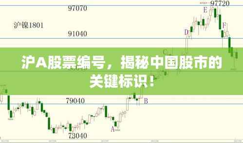 沪A股票编号,揭秘中国股市的关键标识!
