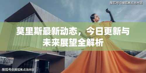 莫里斯最新动态,今日更新与未来展望全解析