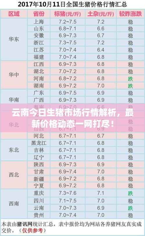 云南今日生猪市场行情解析,最新价格动态一网打尽!